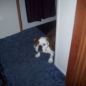 Meet your Posher, Vivian